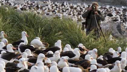 Art Wolfe in South Georgia Island