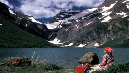 Glacier Park's Night of the Grizzlies