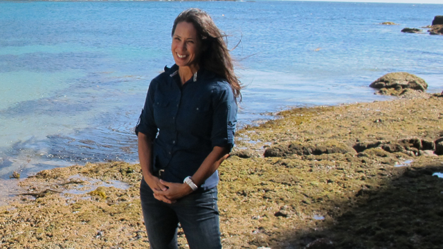 Biologist Lotus Vermeer describing the recovery of native species on Santa Cruz Island.