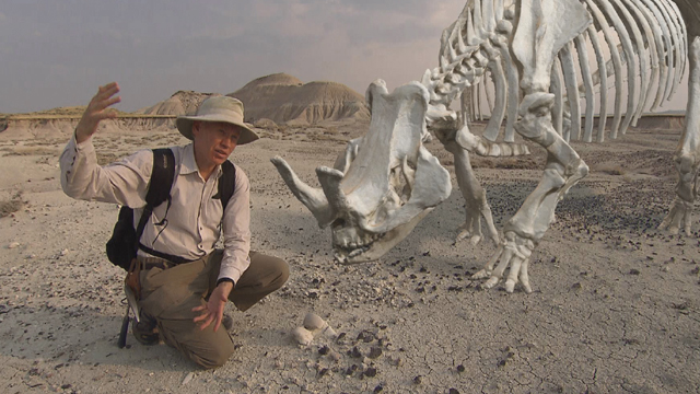 Preview the documentary Paleo Sleuths