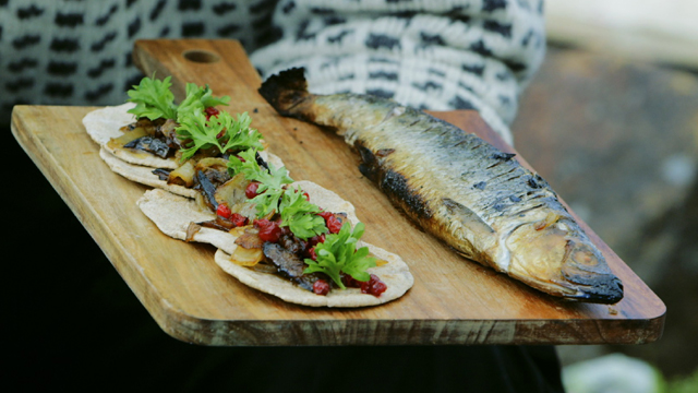 Birch log seared herring