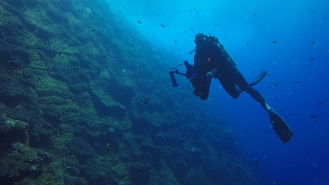 A dedicated group ofl oceanographers are studying the ways carbon cycles through the world’s oceans