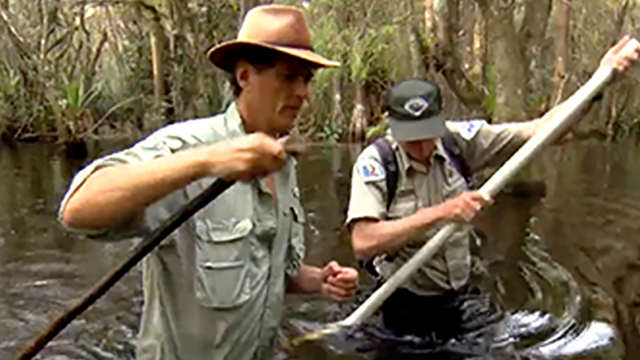 Charles J. Kropke with Mike Owen, Park Biologist, Fakahatchee Strand Preserve State Park