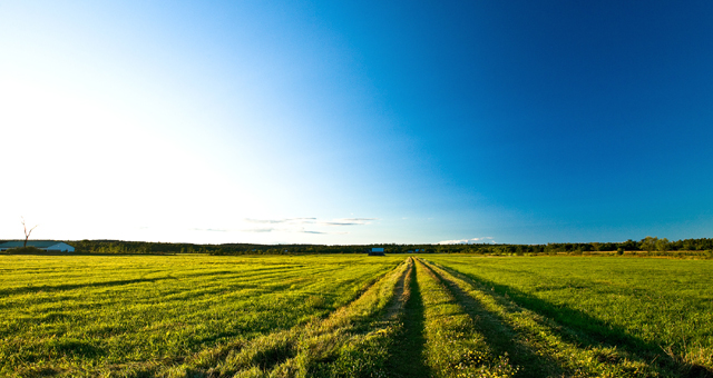 The series celebrates the men and women across the U.S. who grow the country's crops, raise its livestock, tend its nurseries, and prepare its food.