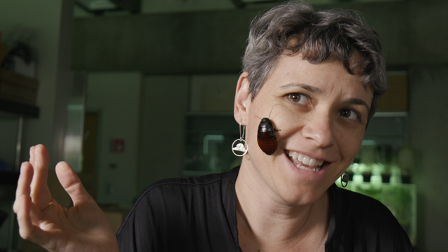 Entomologist Cara Gibson places a beetle on her face.