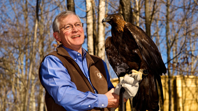 An up-close look at how injured, sick and displaced wild animals are rehabilitated at the Wildlife Center of Virginia