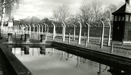 Companion film Swimming in Auschwitz features compelling testimonies of their time in Auschwitz-Birkenau