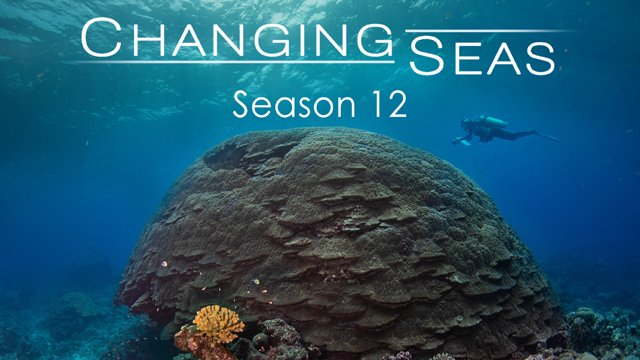 Season 12 of Changing Seas